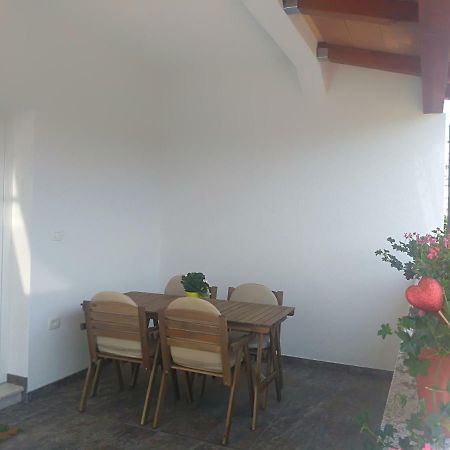Apartment Ivana Novigrad Istria エクステリア 写真