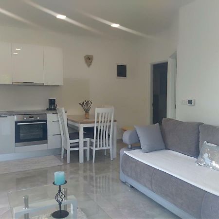 Apartment Ivana Novigrad Istria エクステリア 写真