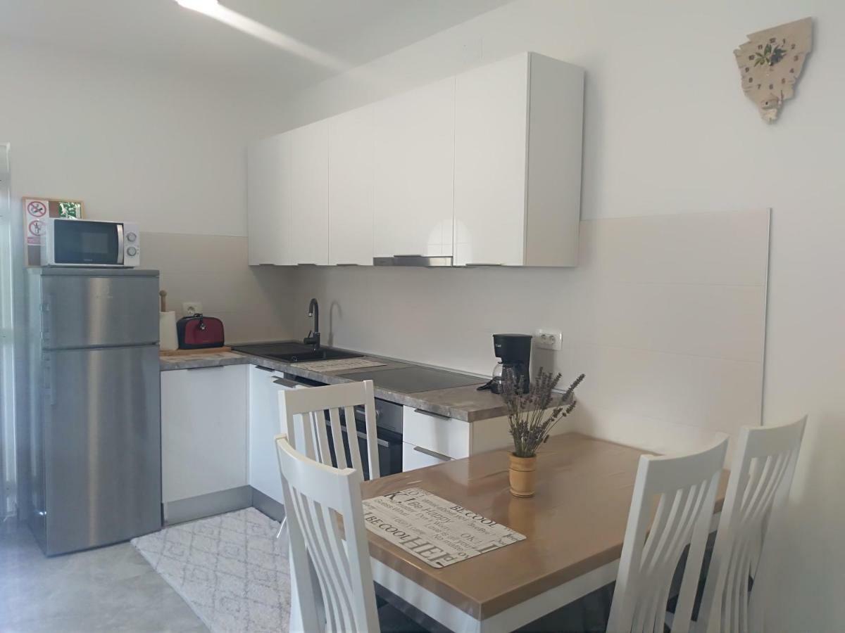 Apartment Ivana Novigrad Istria エクステリア 写真