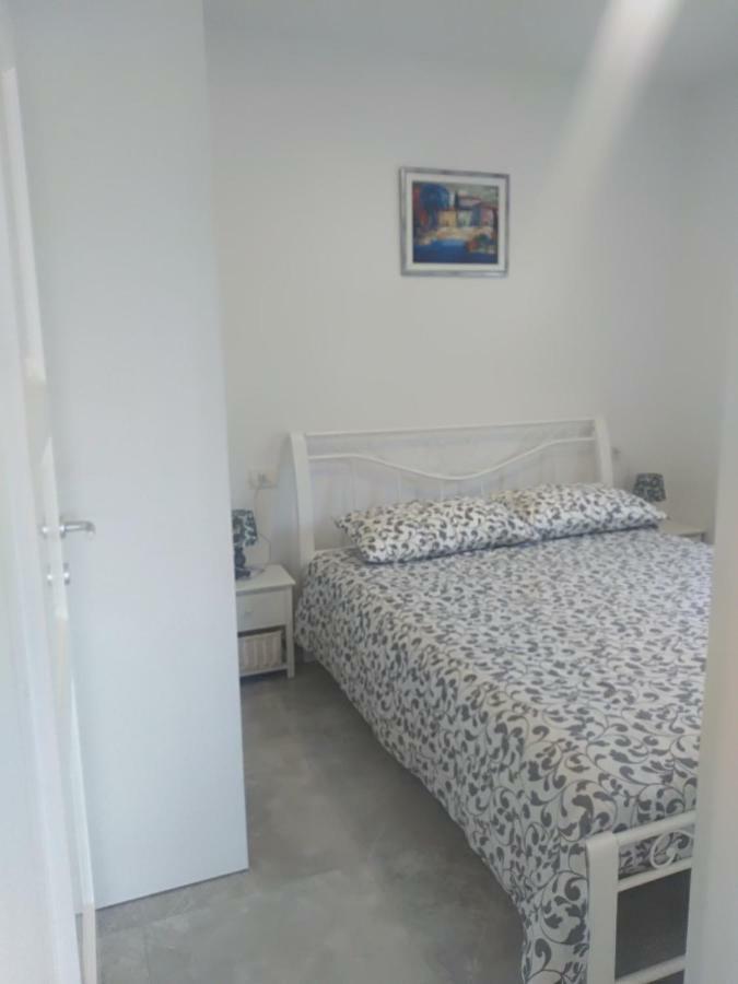 Apartment Ivana Novigrad Istria エクステリア 写真